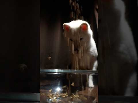 ただいまうまか中☎︎