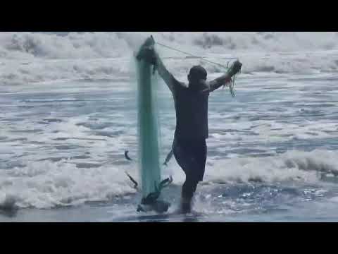 Esta es una buena pesca de licetas