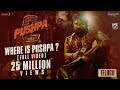 Pushpa Returns: Part 2 Promotions Kick Off with a Terrific Glimpse