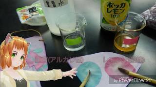 【バーチャル】紫キャベツの汁でお絵かき！！【理科実験おねえさん】