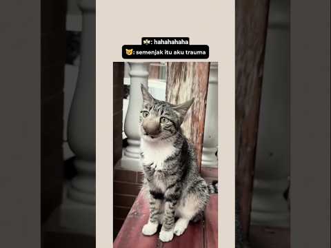 dunia ini keras😿#cat #kucing #shorts
