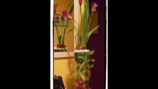 DIY Arreglos en cilindros de vidrio - YouTube