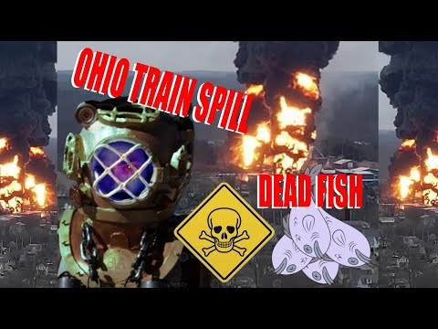 OHIO Train Derail makes Diverman ANGRY!!! Diverman shares his feeling about the Ohio Train Derailing disaster. a few friends may pop in to sha