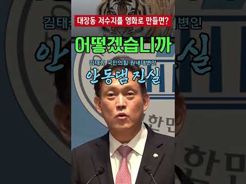 '대장동 저수지라는 제목으로 영화를 만들면 어떻겠습니까' 김태규, 암살자들에 그대로 되돌려줬다