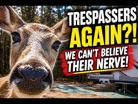 What a Week! Wild Trespassers Are Back!