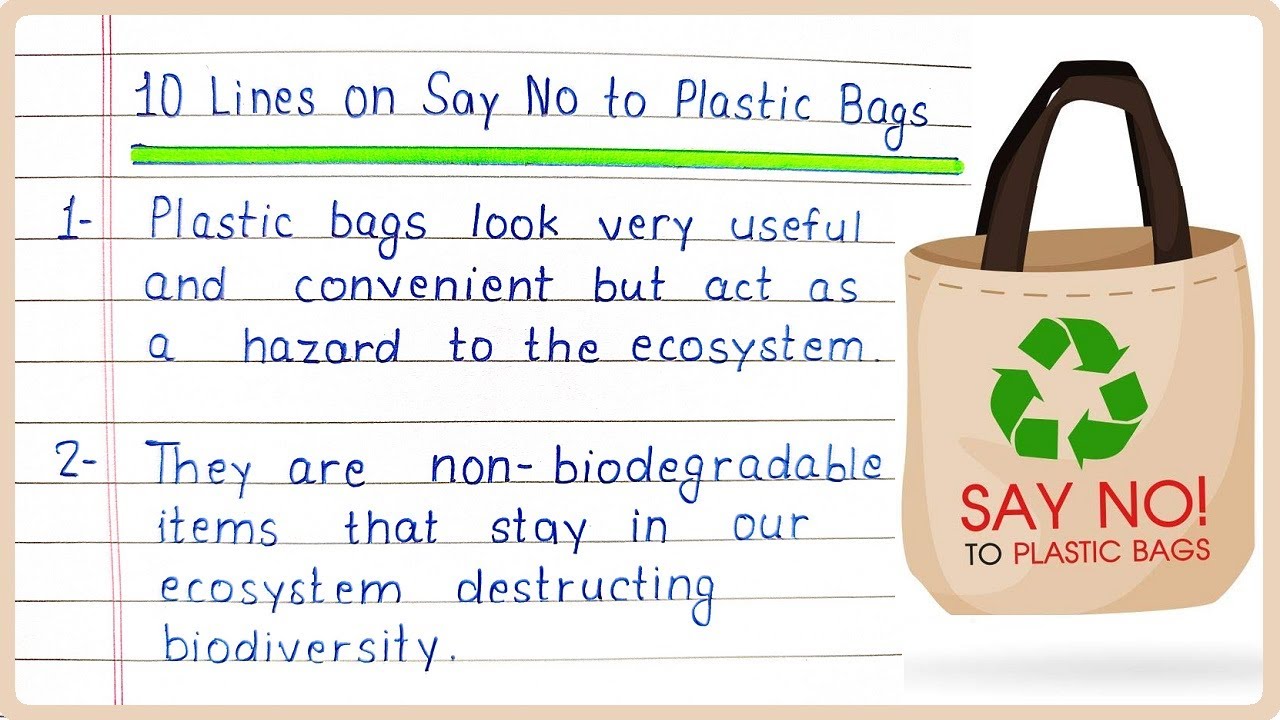 say no to polythene bags essay in english