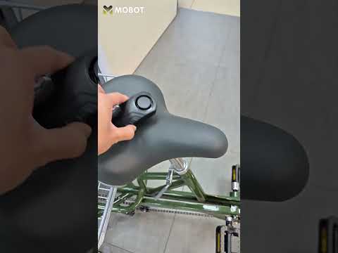 MOBOT Trimax Tricycle & Anti-Theft Alarm | Mini Tutorials #mobotsg #tricycle