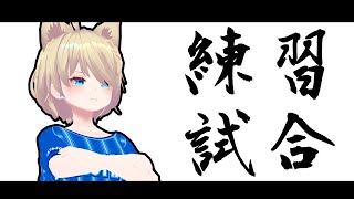 練習試合 その2