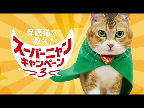 保護猫を救え！スーパーニャンキャンペーン３