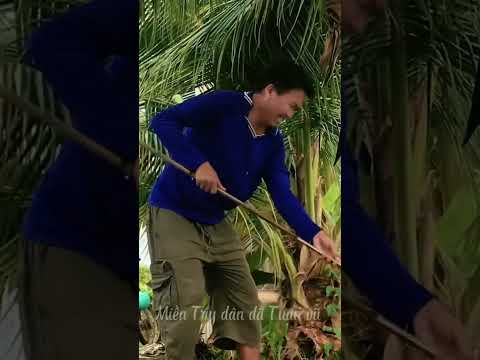 Biệt tri kỷ- tiễn bạn về với cát bụi, yên nghỉ bạn nhé.! #caucalocbangvit #fishing #caucamientay