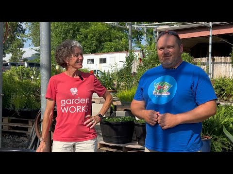 The Boss Lady sets up a Mini Pond for the First Ti ✅Visit our new website_ https_//www.plantlifeprojects.com/

😃join the PlantLife Project Group o