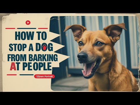 What Happens When You Train Your Dog to Stop Barking at People?