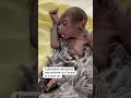 Premature baby gorilla born at Texas zoo  - 00:23 min - News - Video