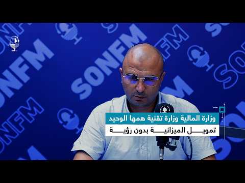 أنيس بن سعيد : وزارة المالية وزارة تقنية همها الوحيد تمويل الميزانية بدون رؤية