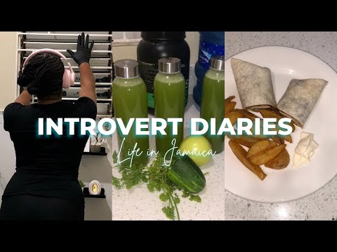 INTROVERT Diaries | I Spend Most of My Days Like This