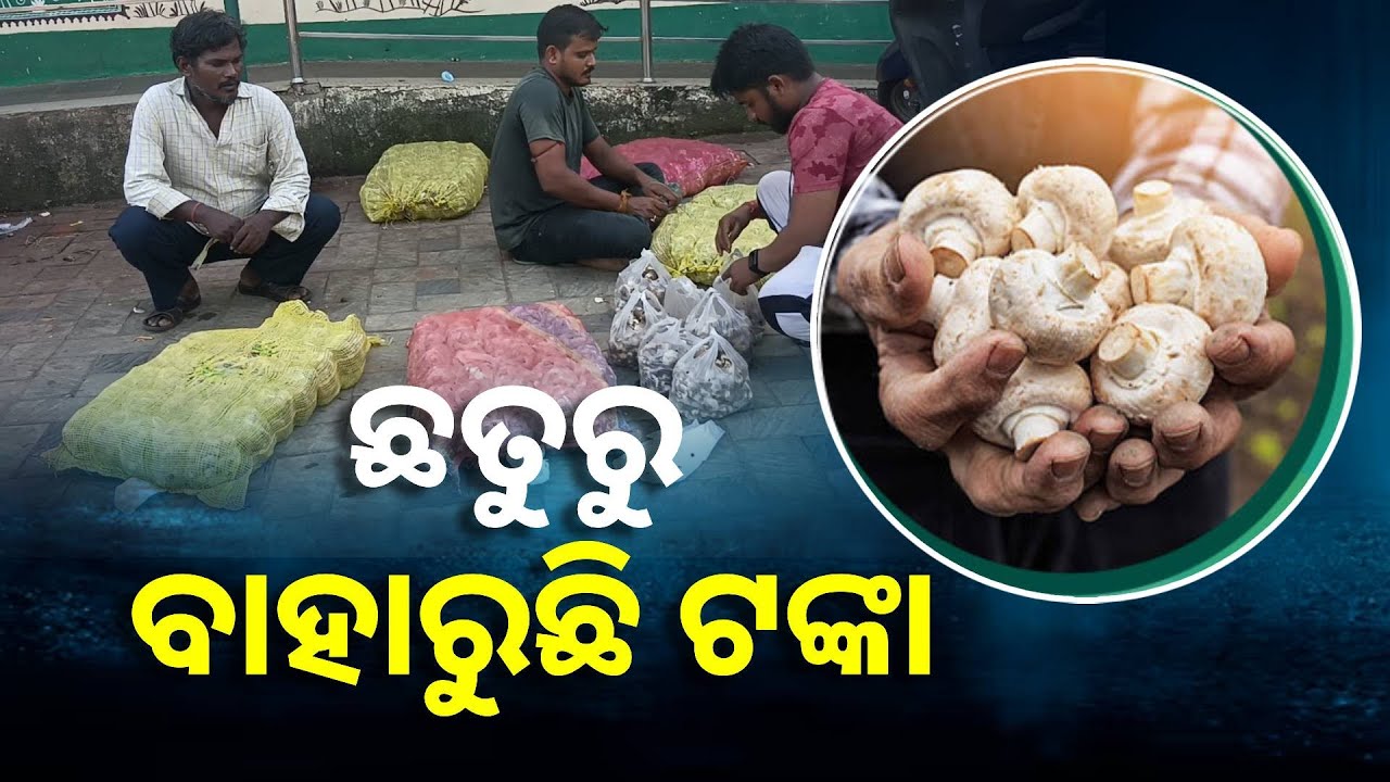ଦିନଥିଲା ଲୋକ ଜାଣିନଥିଲେ ଏବେ ଲୋକଙ୍କର ପ୍ରିୟ ଅତି ପ୍ରିୟ || Knews Odisha