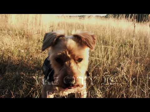 LONDON (Short Music Video) w/ Lyrics by Ashley Bailey ft Mackenzy Mackay