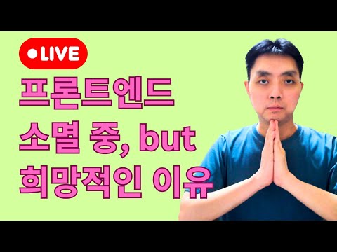 프론트엔드 개발 소멸 중 (but 종말은 아닌 이유)