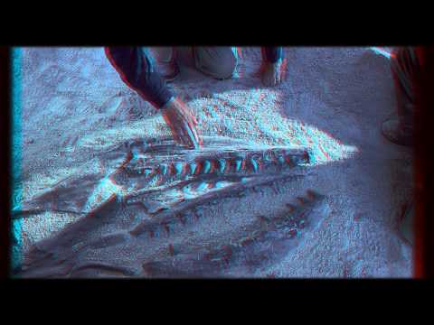 Чудища морей: Доисторическое приключение 3D (HD)