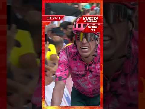 Rigoberto Urán en la lucha final de los últimos metros  #shorts