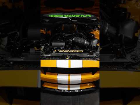 Fathouse Performance Voodoo Radiator Plate