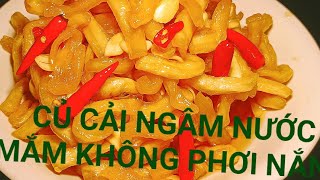 CỦ CẢI NGÂM NƯỚC MẮM KHÔNG PHƠI NẮNG : CÁCH LÀM CỦ CẢI NGÂM NƯỚC MẮM HLNN