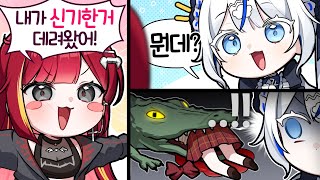 인사가 격하긴 한데 착한애야!! [딩컴]