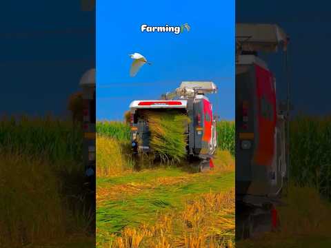 Modern Kisan Ka Magic Machine 💪 Kubota Harvester Ka Power Dekhiye! #cultivator #agriequipment