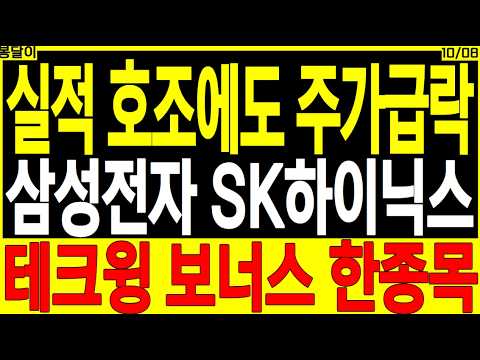반도체 대장주 주가전망) 실적 호조에도 주가급락 #삼성전자 #SK하이닉스 #테크윙 보너스 한종목 | 디에스경제타임즈 봉달이