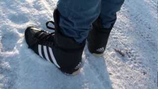 Adidas Probout boots out \u0026 about! - YouTube