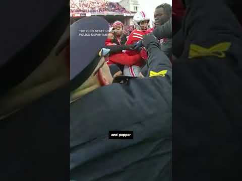 Bodycam video of Ohio State-Michigan football brawl released