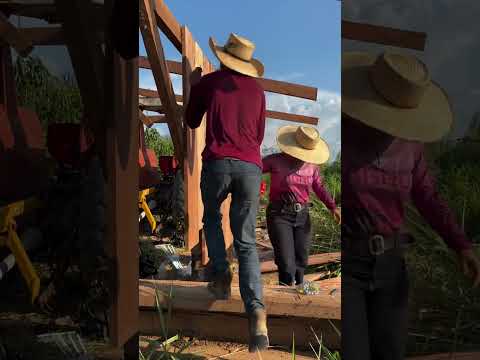 20 de outubro de 2025