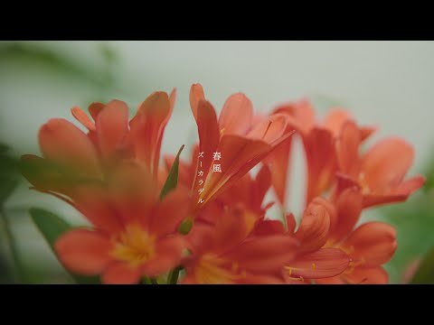 ズーカラデル
