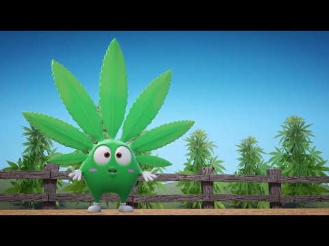 Happy Hemp Paste Happy Hemp Paste