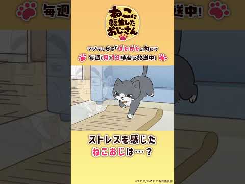 ストレスを感じたねこ