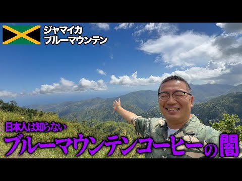 ブルーマウンテンの本場に行ったらコーヒー業界の闇を知りました【ジャマイカ】
