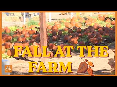 What's new at Schnepf Farms this fall season?