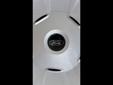 All the Small Things - Ford Pro