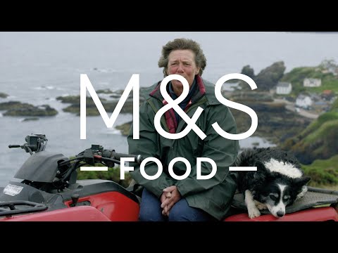 100% British Lamb | Episode 2 | Fresh Market Update | M&S FOOD