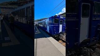 日本一?海に近い駅！🌊　#鉄道 #撮り鉄 #train