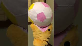 サッカーだぞ！ #それだけ