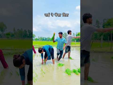 फँसा दिया! 90’S Old Hindi Songs🥰 90s Love Song😍 Udit Narayan, Alka Yagnik, Kumar Sanu songs Hindi