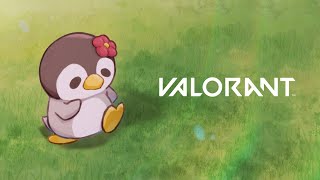 【VALORANT】たそと！プラチナまでとぉぃ‥【緋月ゆい/ネオポルテ】