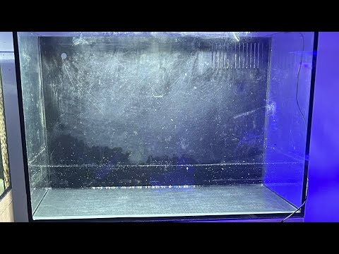 Biohome Biorock update (bad news) So this is my bio rock update on how I’m finding the product unfortunately as the only marine test