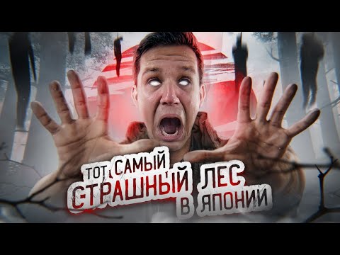 ТОТ САМЫЙ СТРАШНЫЙ ЛЕС В ЯПОНИИ! ПРОВЕЛ ТАМ НОЧЬ | GhostBuster