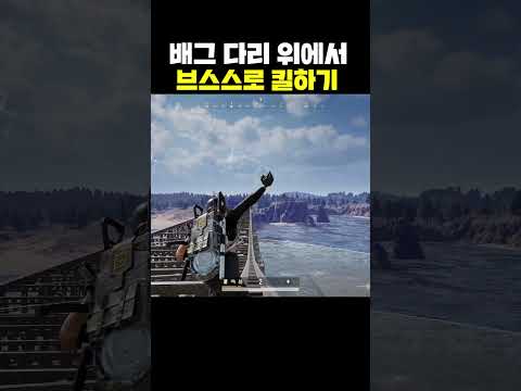 배그 다리 위에서 브스스로 킬하기
