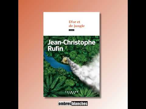 Vido de Jean-Christophe Rufin
