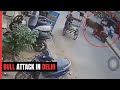 OMG! Wild bull attacks biker in Delhi, video goes viral