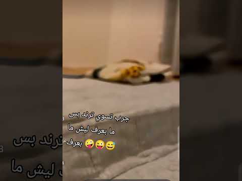 ٢١ أكتوبر ٢٠٢٥