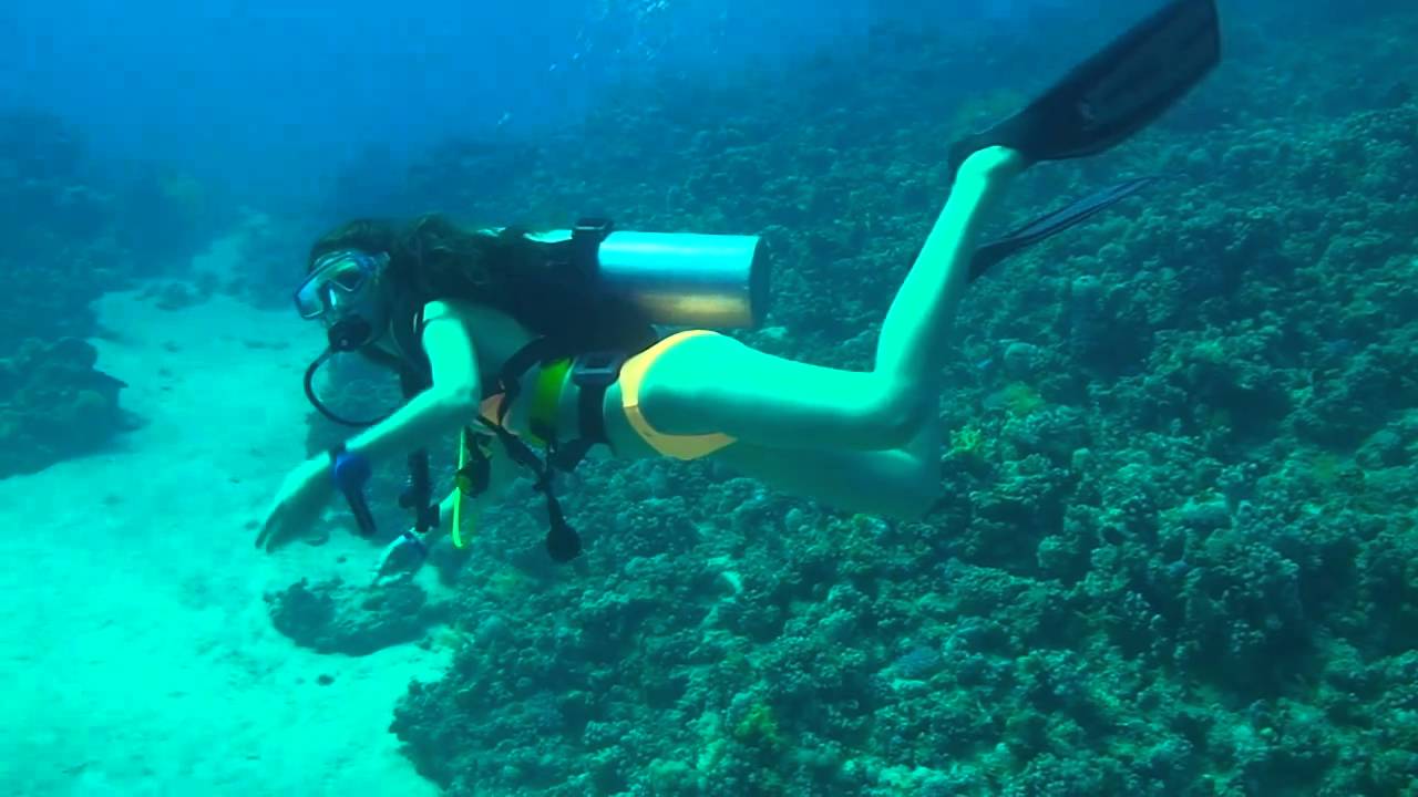 Sexy Scuba Girl Youtube